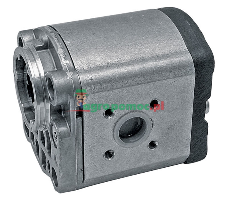 Bosch/Rexroth Single pump | zdjęcie nr 1