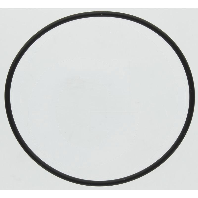 BPW O-Ring | zdjęcie nr 1