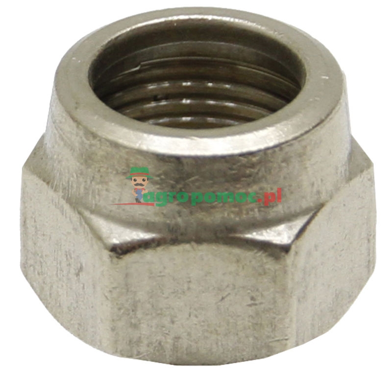 Braglia Cap nut | zdjęcie nr 1