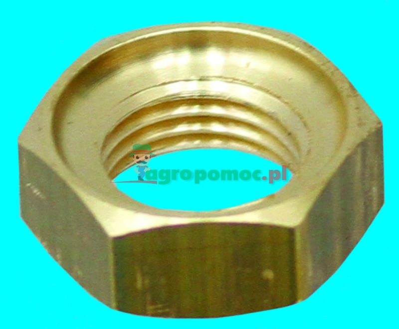 Braglia Nut | zdjęcie nr 1