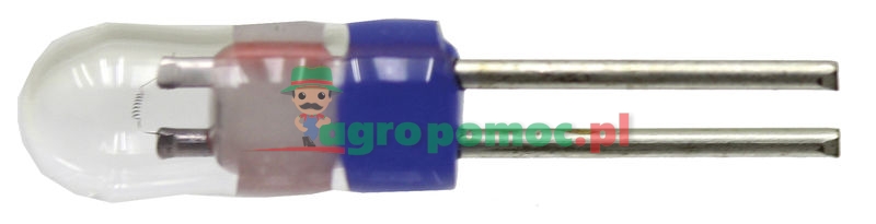 Bulbs | zdjęcie nr 1