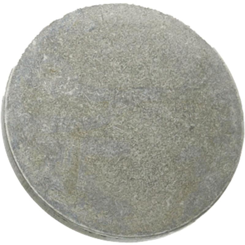 DANA Spicer Pinion shaft pressure plate | zdjęcie nr 1