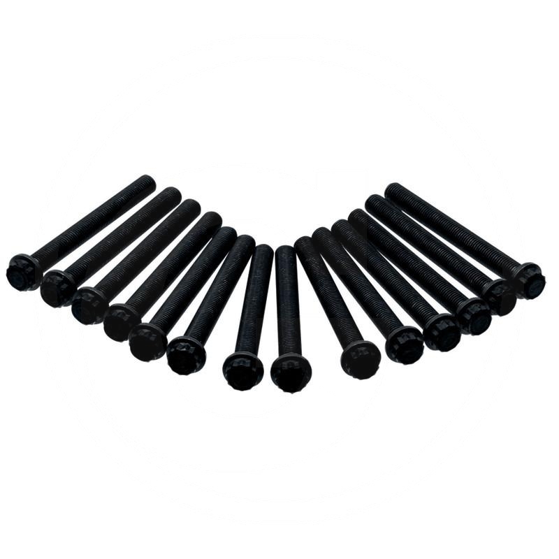 Elring Cylinder head bolt set | 060.190 | zdjęcie nr 1