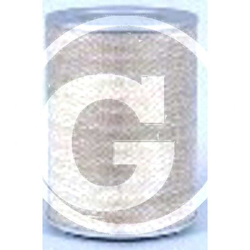 Fleetguard Luftfilter | zdjęcie nr 1