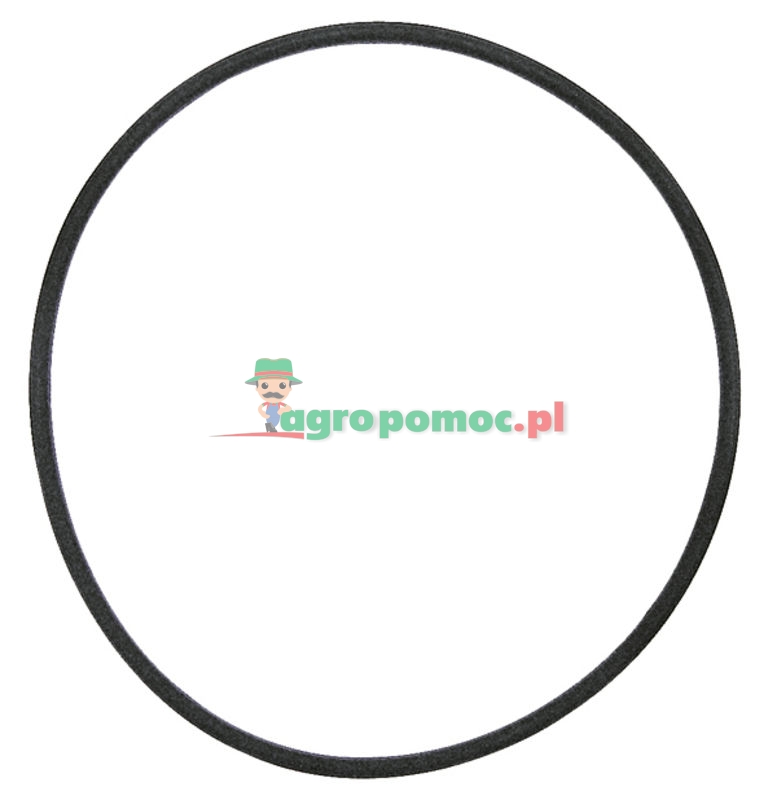 Hardi O-ring | 242020, 241883 | zdjęcie nr 1
