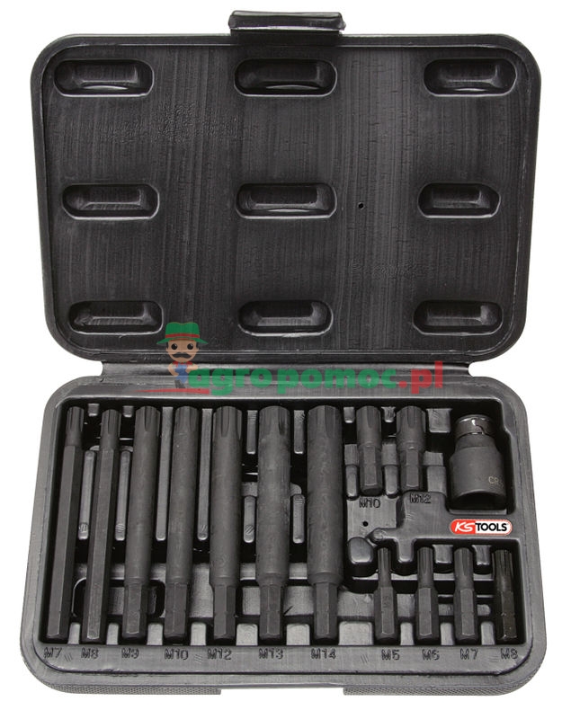 KS Tools CLASSIC bit set RIBE, 14pcs, 5/16" | zdjęcie nr 1