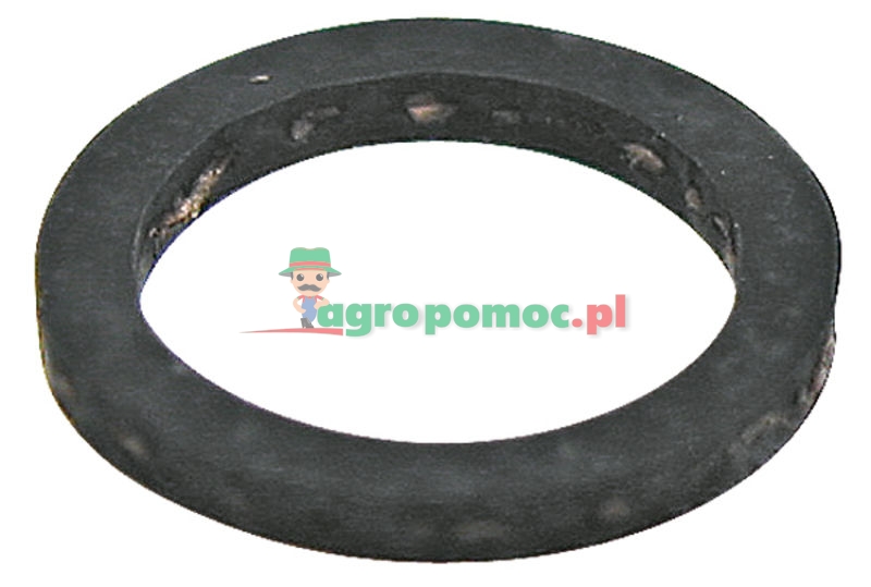 Lechler Sealing ring | 0652005600000 | zdjęcie nr 1