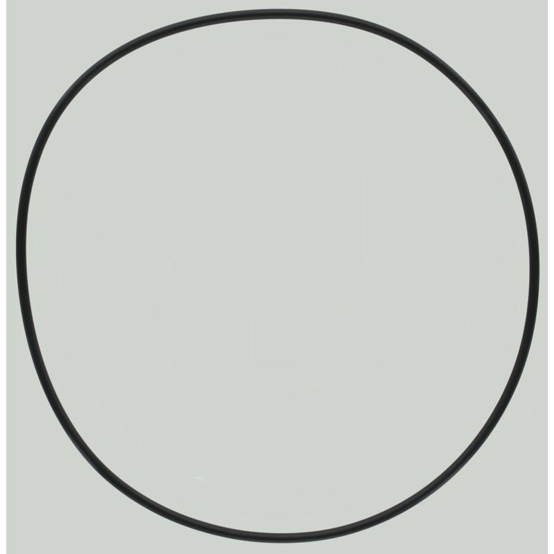 MZ O-Ring | zdjęcie nr 1