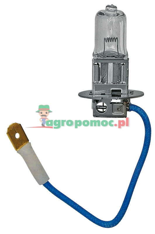 Philips Halogen bulb H3 | zdjęcie nr 1