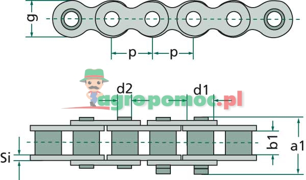 Rexnord Roller chain simplex | zdjęcie nr 1