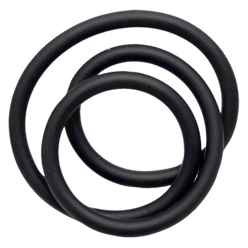 Seal | zdjęcie nr 1