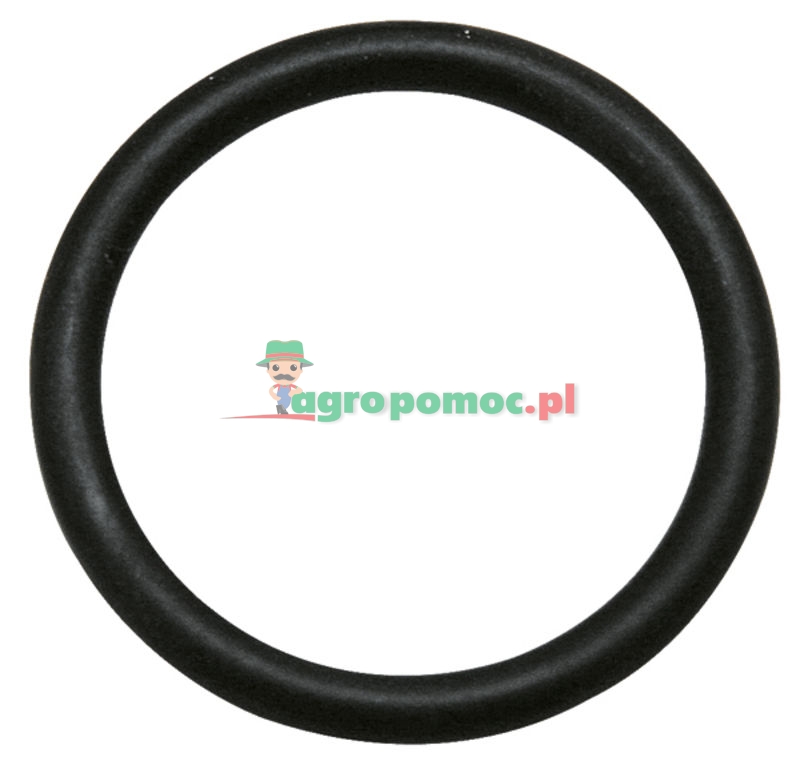 Sealing ring KF BR DN06-BG1 | zdjęcie nr 1