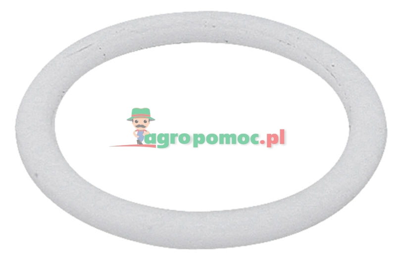 Sealing ring KF SR DN10-BG2 | zdjęcie nr 1