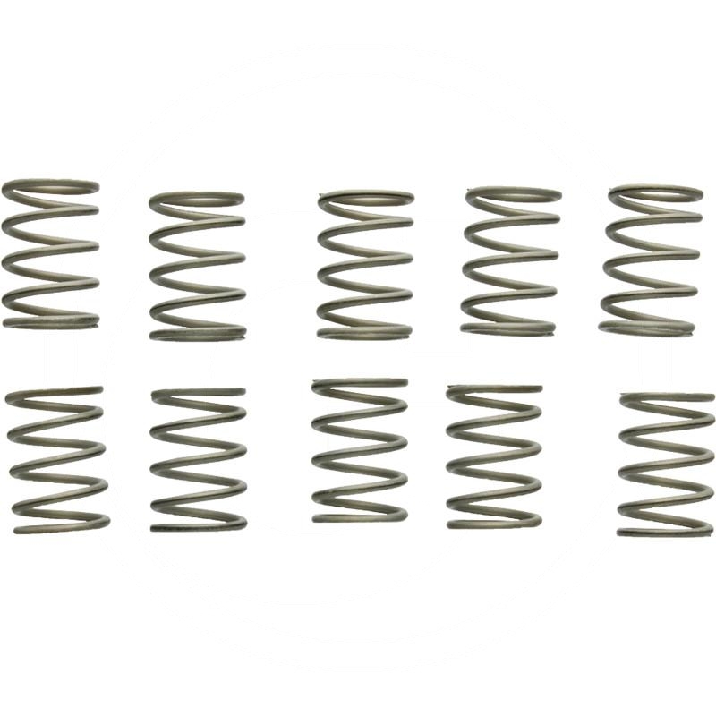 Suevia Valve spring | zdjęcie nr 1