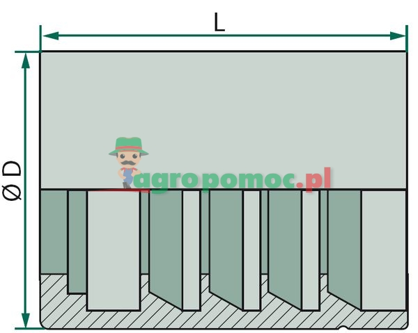 Volz PF DN 16 - 5/8" 2 SN VA | zdjęcie nr 1