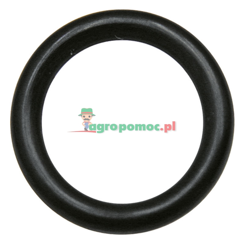 VVP-10 O-RING SET SAE (3/4") | zdjęcie nr 1