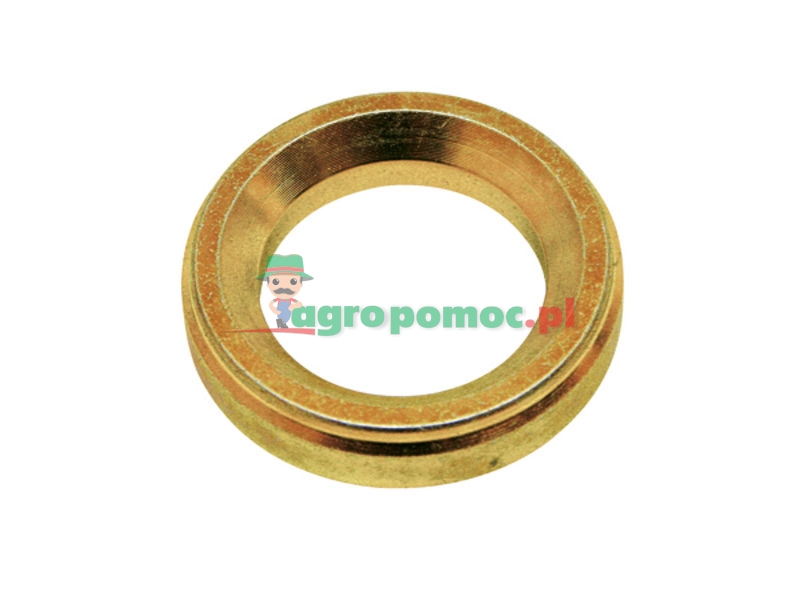 Walterscheid Guide ring | 308144 | zdjęcie nr 1