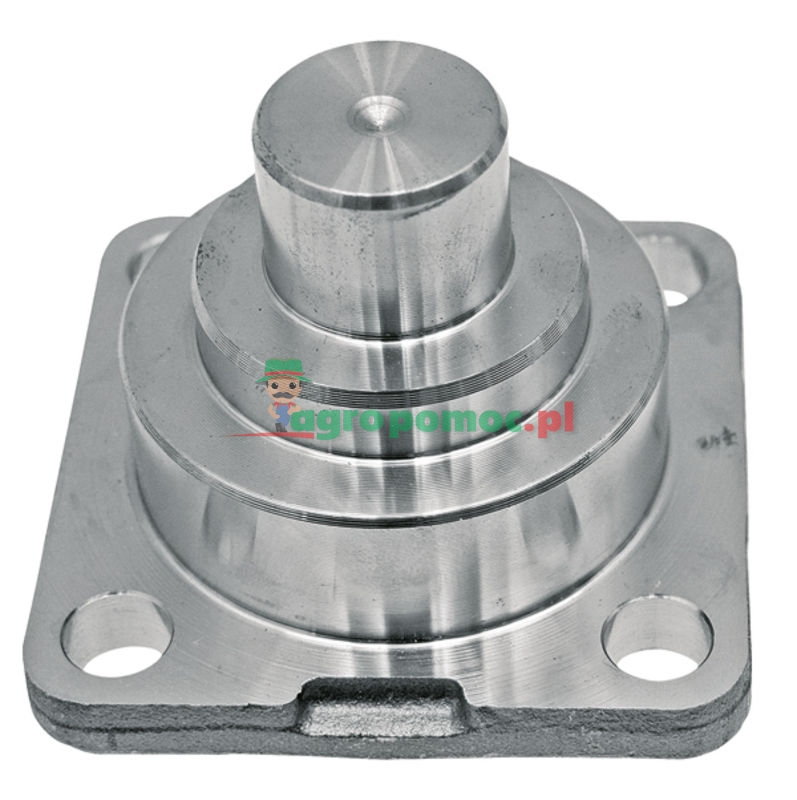 ZF Swivel pin | 4475306116 | zdjęcie nr 1