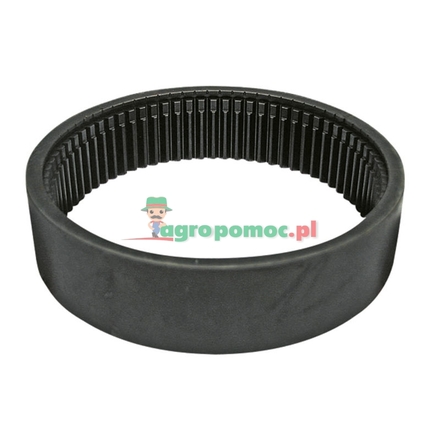  Annulus | F174300020210