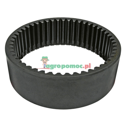  Annulus | F184300020290