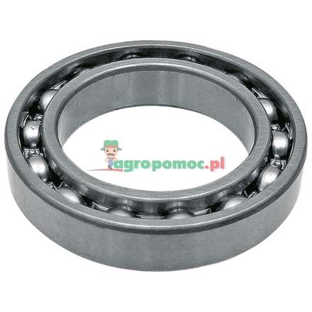  Bearing | 6005009868