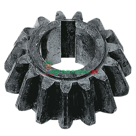  Bevel gear | 236.800081