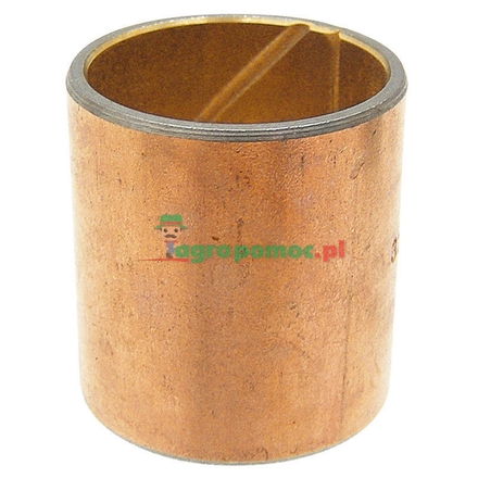  Bush | 5138177, 4964380