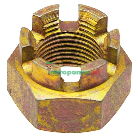  Castle nut | 83910701