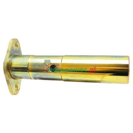  Central axle pin | 81802838
