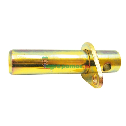 Central axle pin | 81802839
