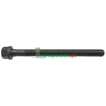  Cylinder head bolt | 299938A1