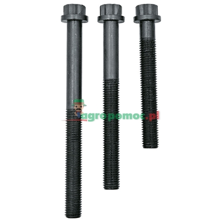  Cylinder head bolt set | 20080342213