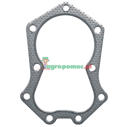  Cylinder head gasket | 5204120S, 5204120, 5205204, 5204118