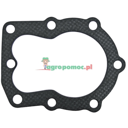  Cylinder head gasket | 29620016, 29620005, 33015, 33015A