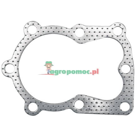  Cylinder head gasket | 29953C, 29620015, 29620003, 299535