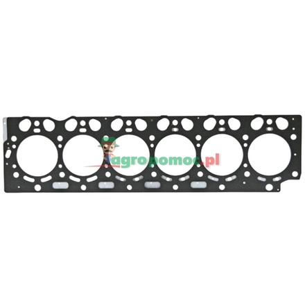  Cylinder head gasket | F731200210020
