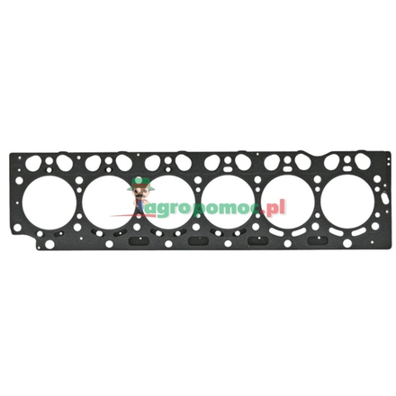  Cylinder head gasket | F731200210030