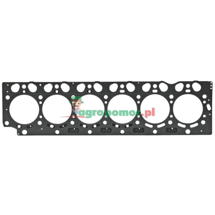  Cylinder head gasket | F731200210010