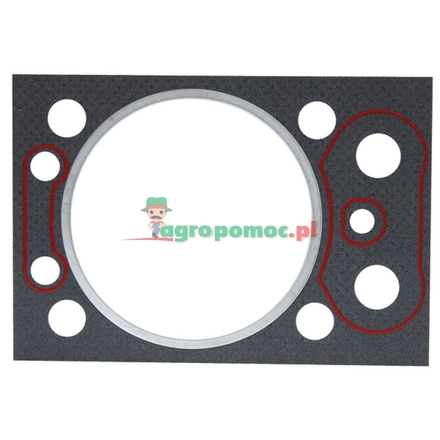  Cylinder head gasket | 69010571