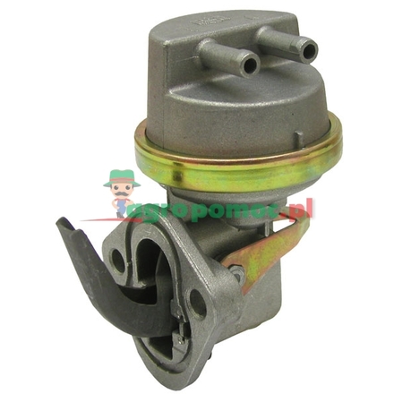  Diaphragm feeding pump | RE38009