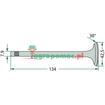  Exhaust valve | R90692