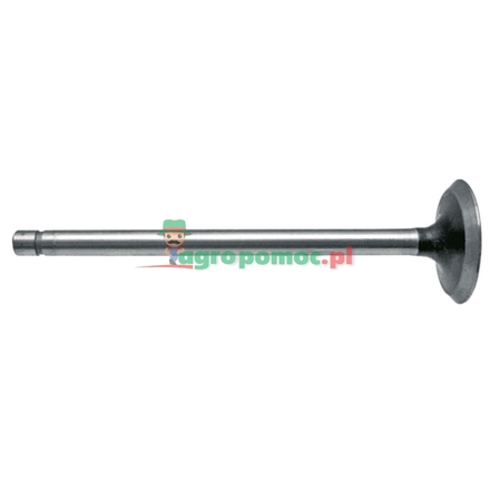  Exhaust valve | R43679