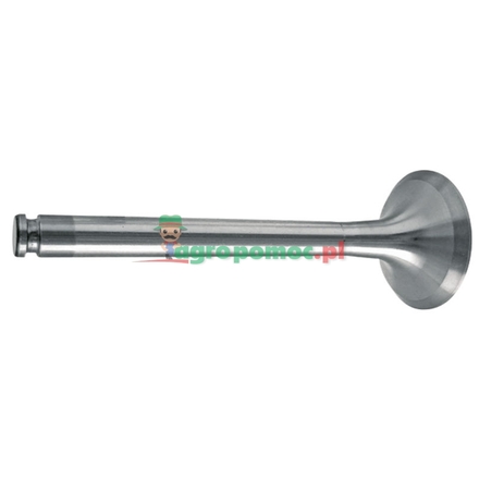  Exhaust valve | 4420500227