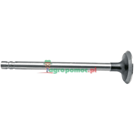  Exhaust valve | 87802262, 87802143