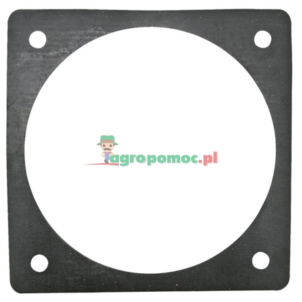  Flange gasket