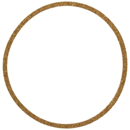  Flat gasket