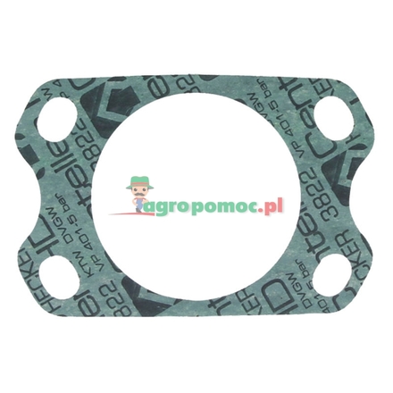  Formed gasket | F139200710020