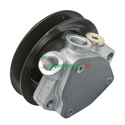  Fuel pump | 02113799, 04207013, 02112672, 04801613, 02113800, 02112673, 04503573