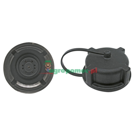  Fuel tank cap | 04352944, 01231525