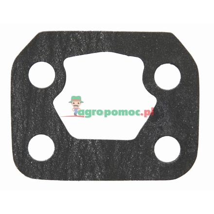  Gasket | 505426, 218790A1, 130300080718, 219760A1, 299582A1, 316153A1